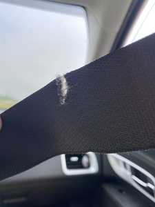 2013 Chevy Equinox dog chewed the strap