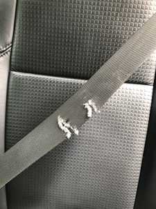 2018 Tacoma Dog chewed drivers side seat belt